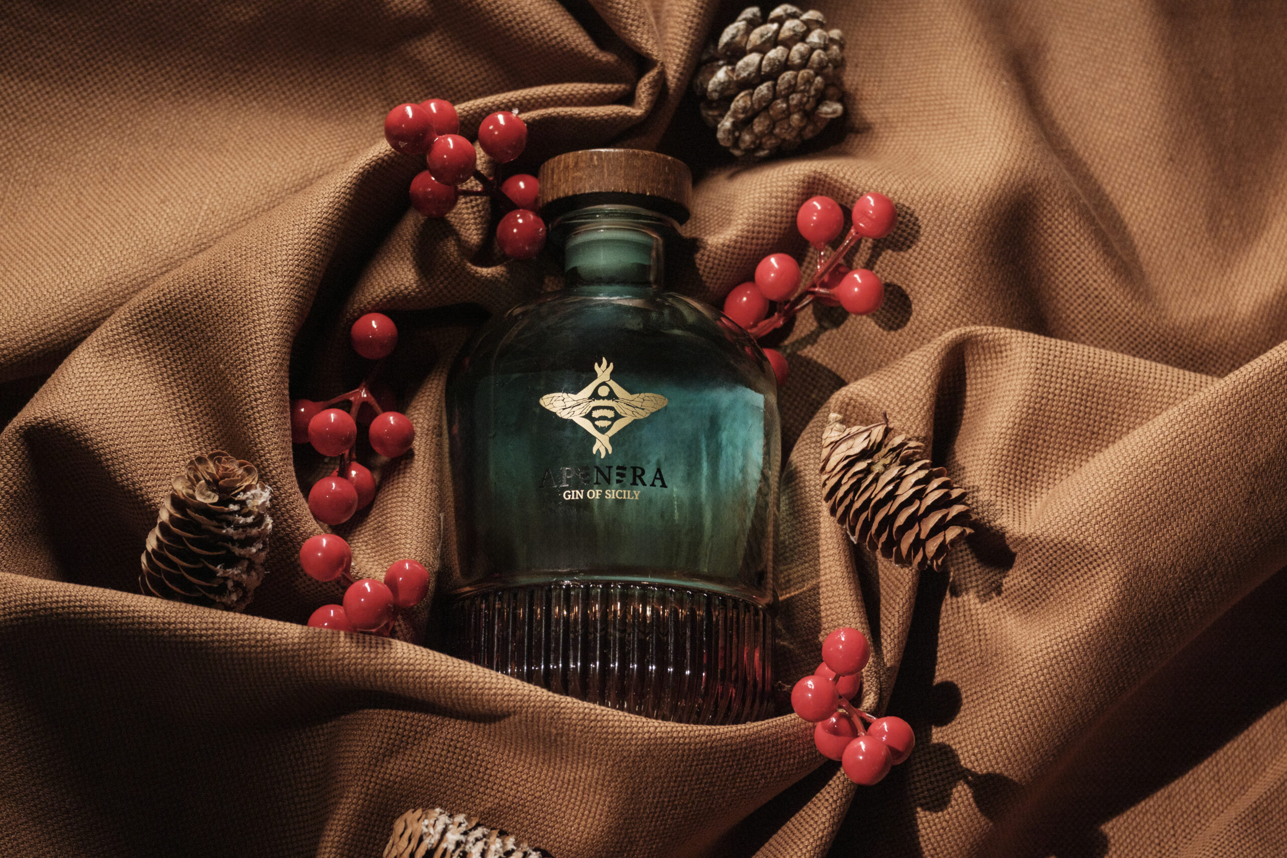 Apenera Gin, Christmas Box, articolo su Beyond the Magazine